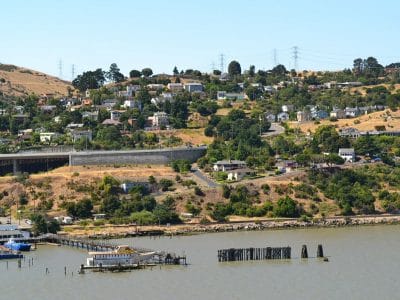 Virus Removal near Crockett