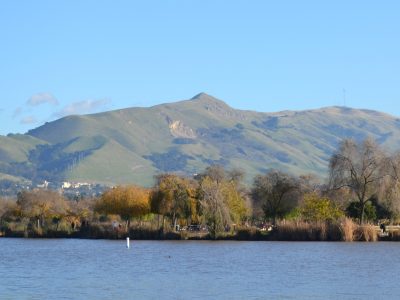 IT Company near Fremont