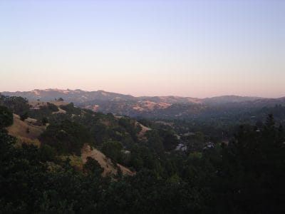 Virus Removal near Lafayette