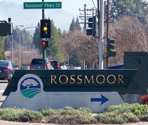 IT Company near Rossmoor